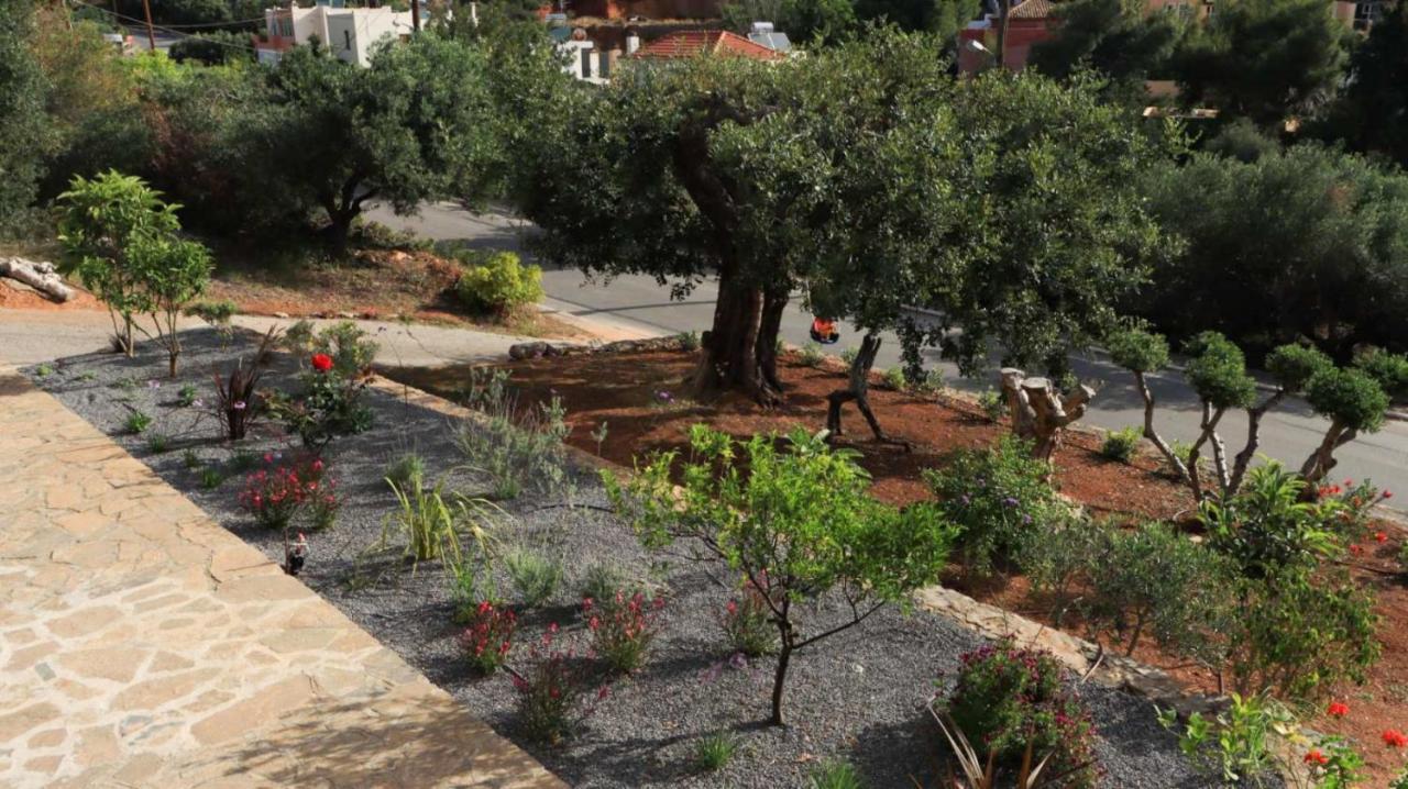 Comfortable Apartment With Garden - Casa Con Vista Havania Bagian luar foto