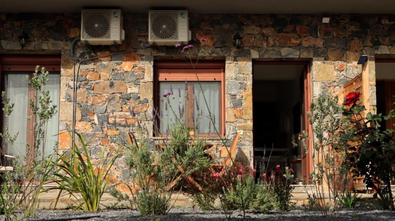 Comfortable Apartment With Garden - Casa Con Vista Havania Bagian luar foto